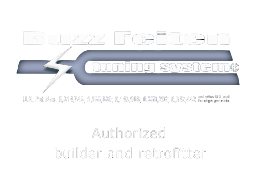 Buzz Feiten Tunning sysstems